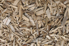 biomass boilers Burnaston